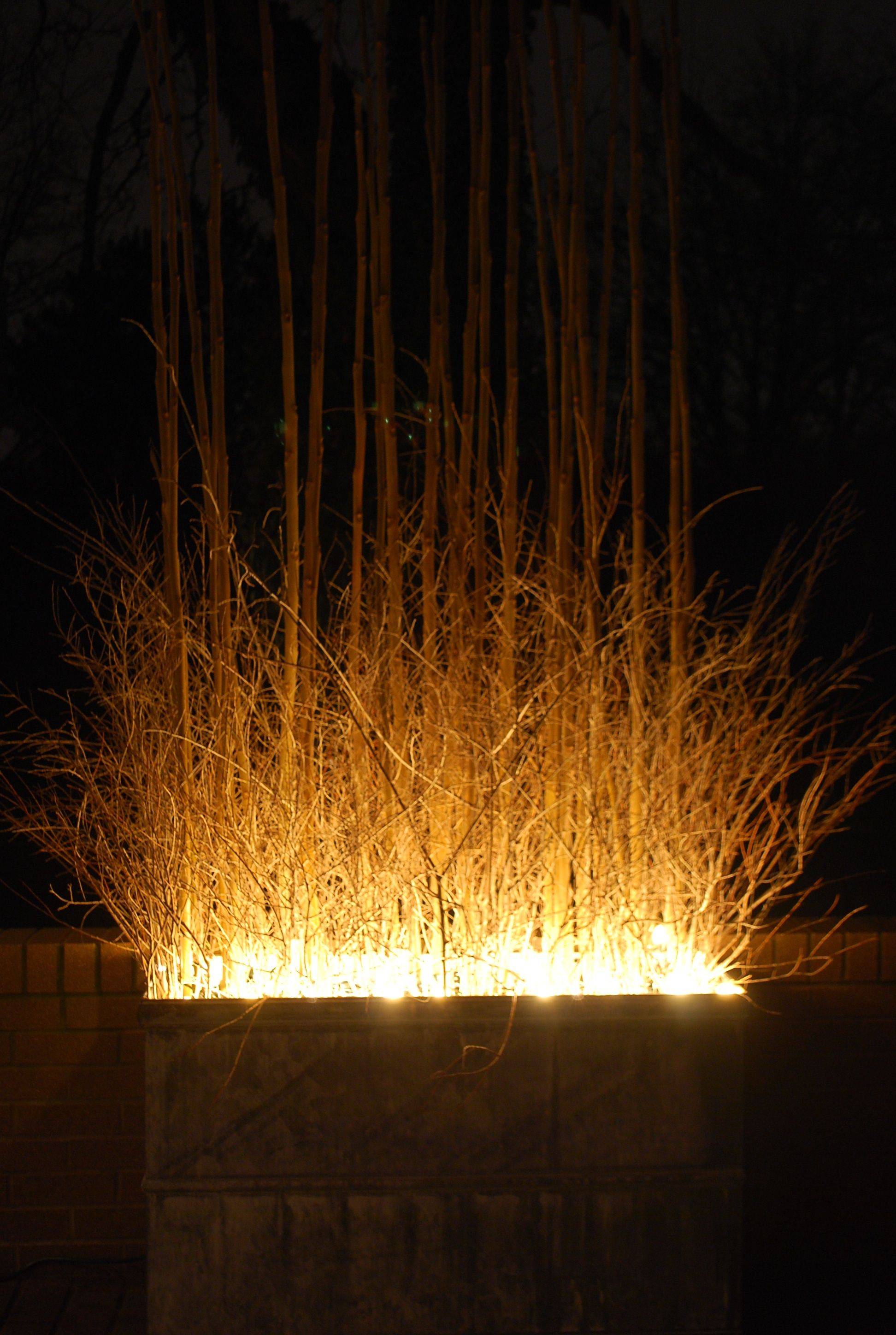 Bamboo Light Ideas