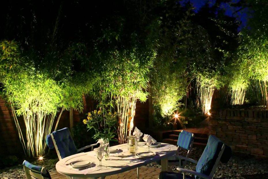 Bamboo Backyard Landscaping
