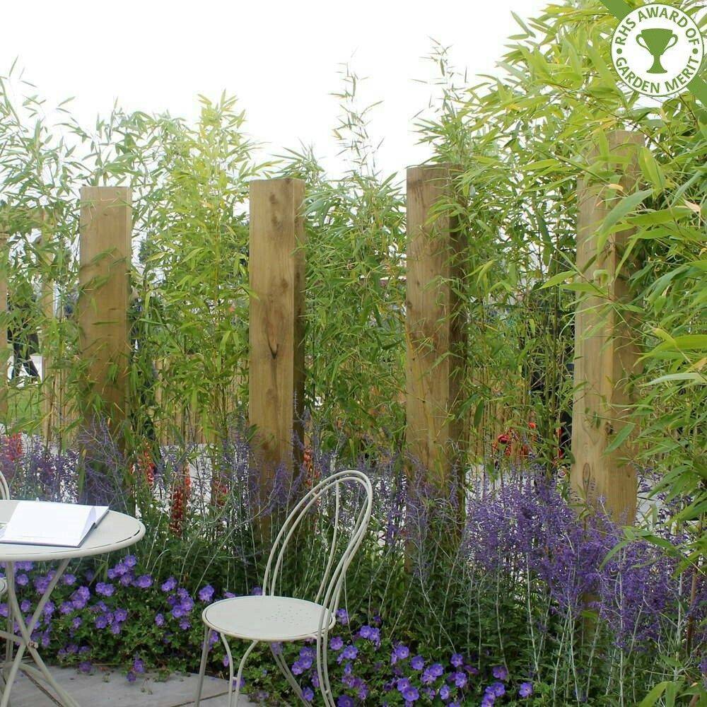 Your New Shade Structure Patio Design