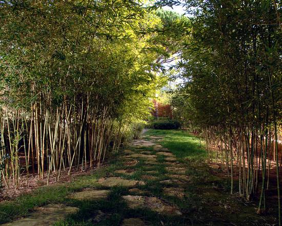 Bamboo Garden