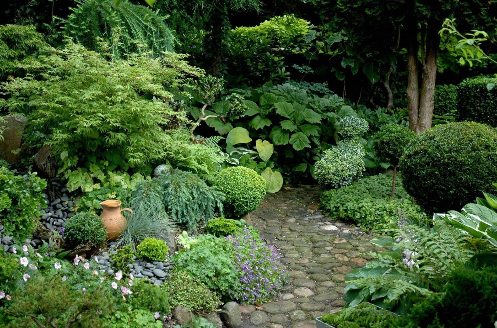 Garden Inspiration