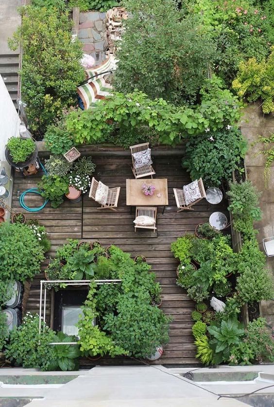 Patio Gardens Ideas