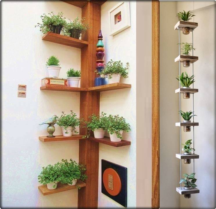 Modern Plant Shelf Ideas