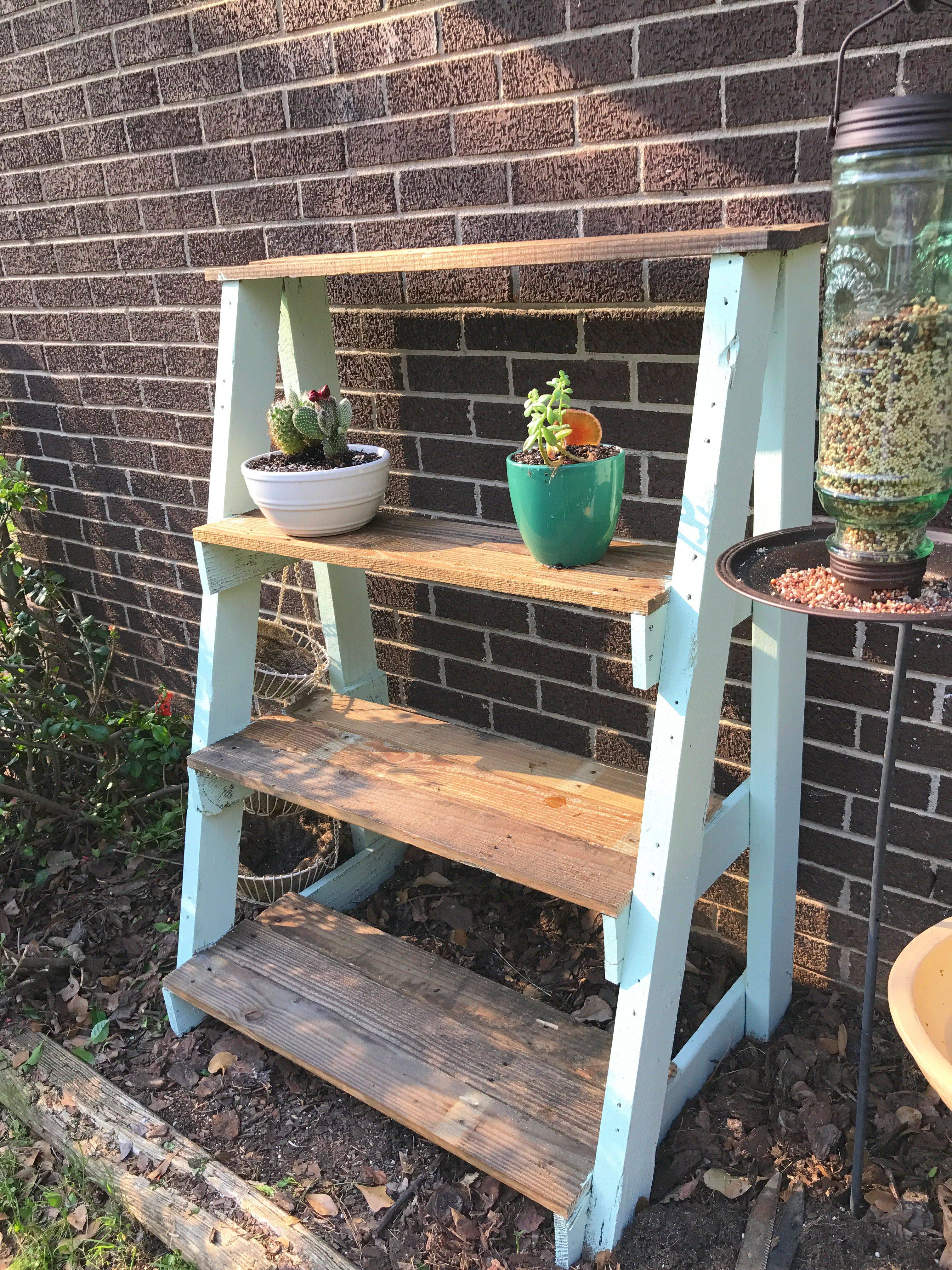 Modern Plant Shelf Ideas