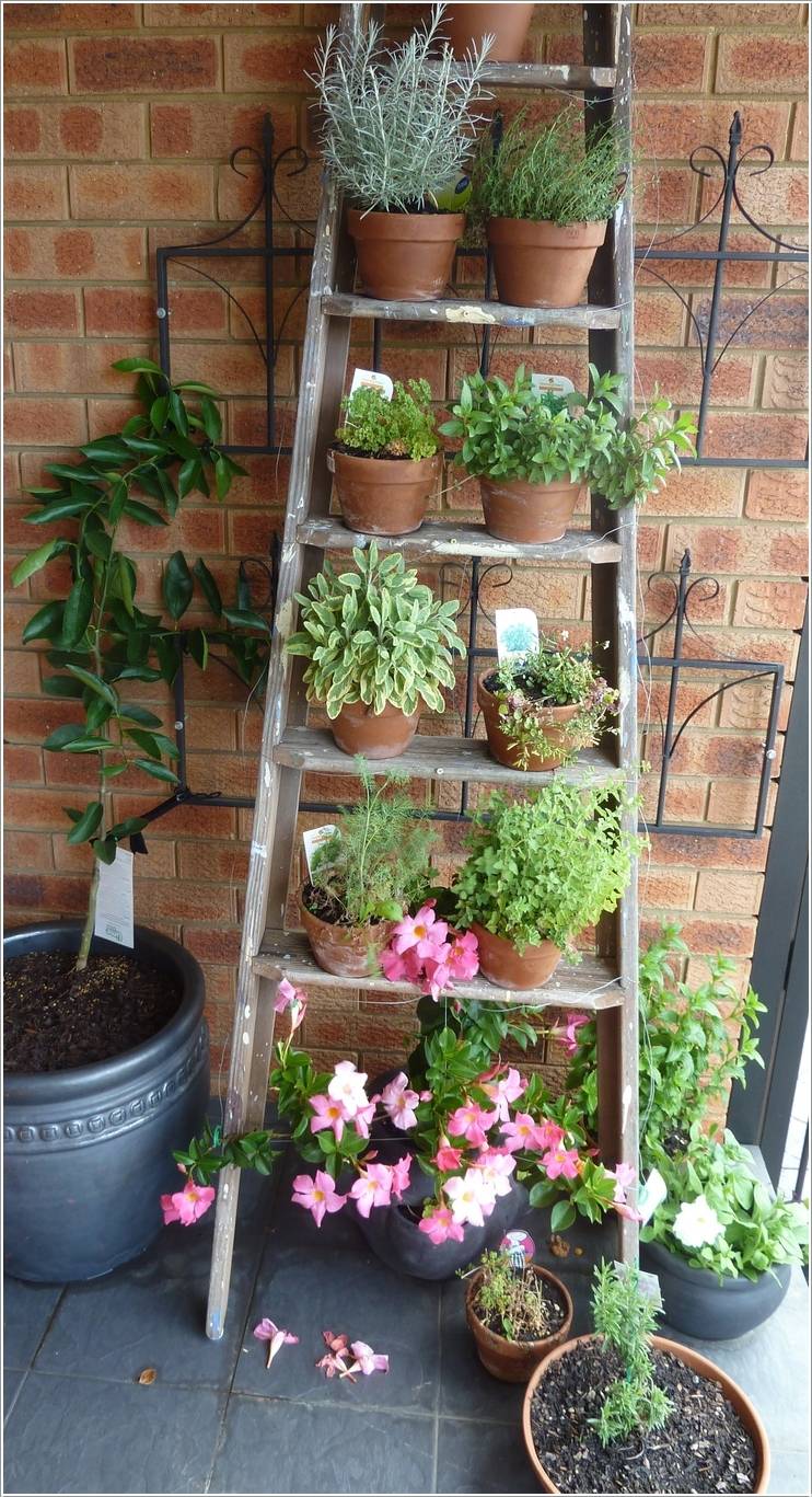 Best Herb Garden Ideas