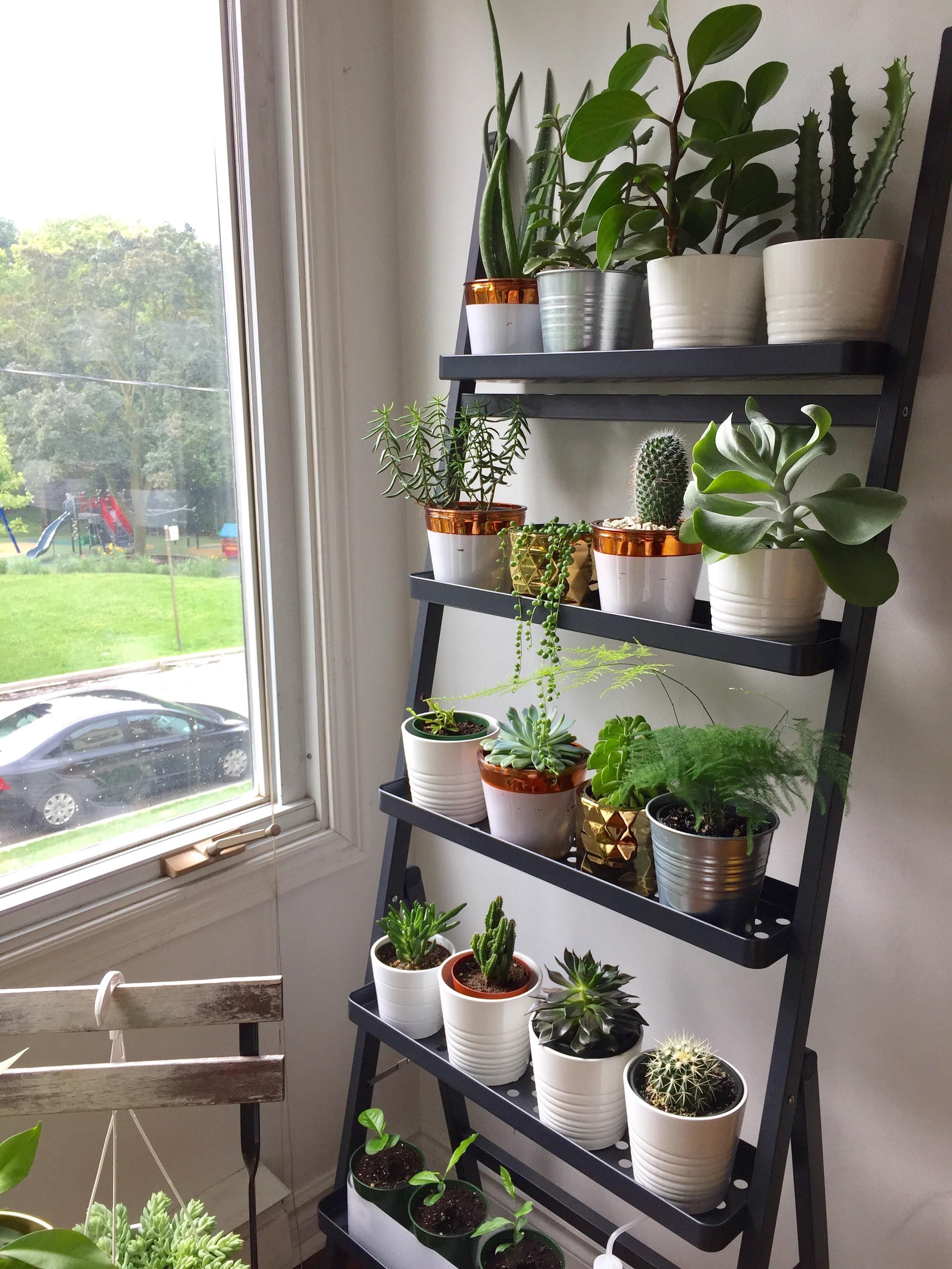 Garden Shelves