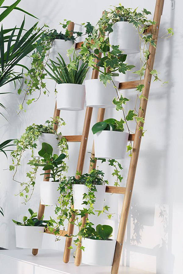 A Budget Indoor Vertical Garden Tlc Interiors