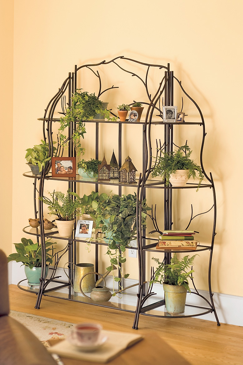 Modern Plant Shelf Ideas