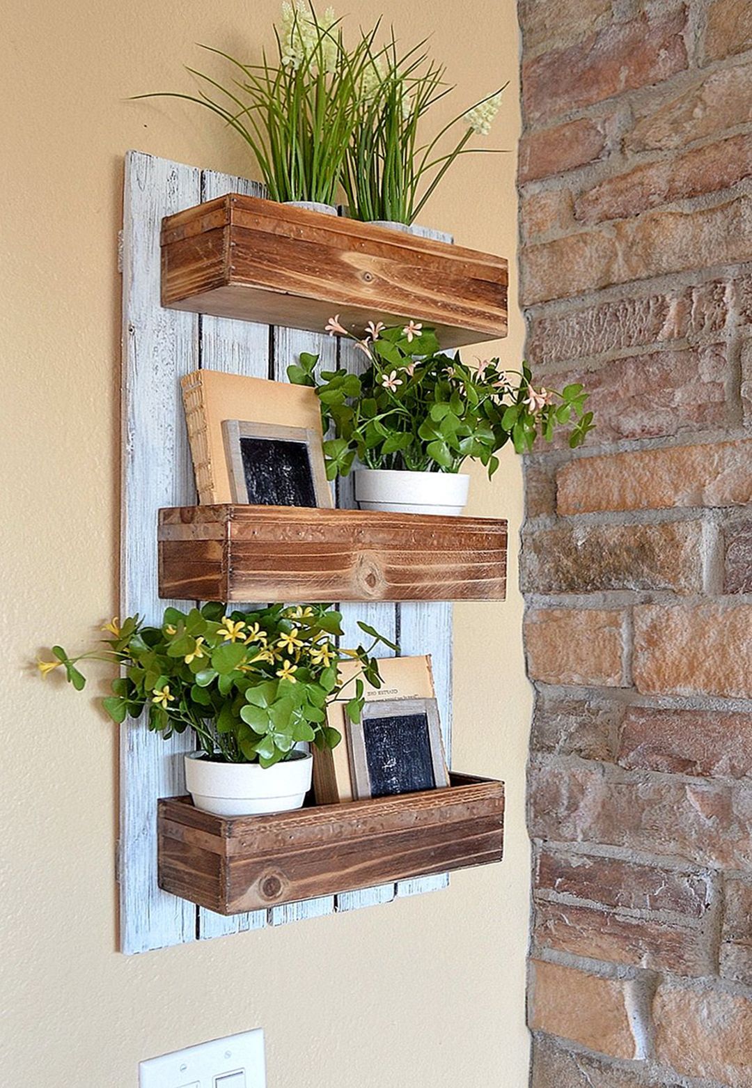 Wonderful Succulent Shelf