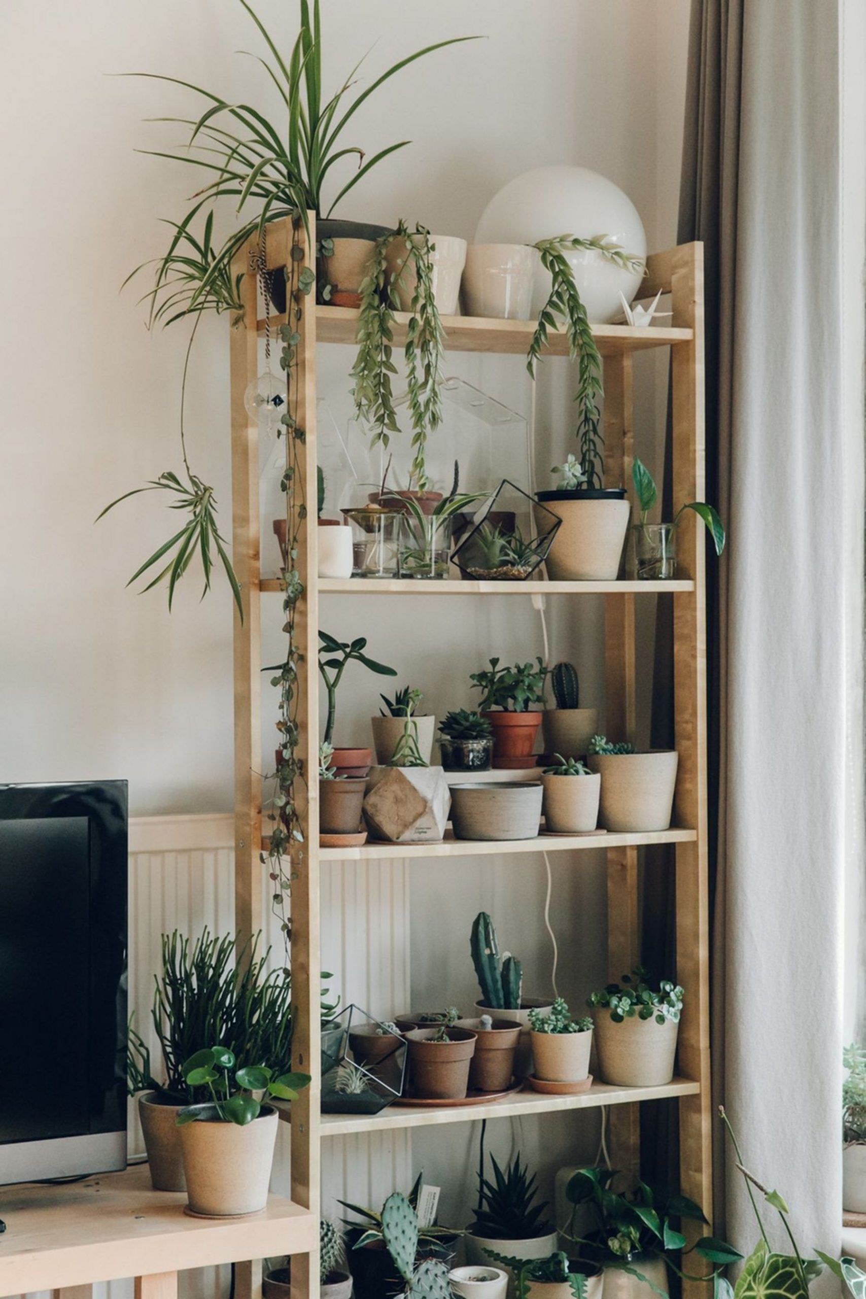 Plant Shelf Ideas
