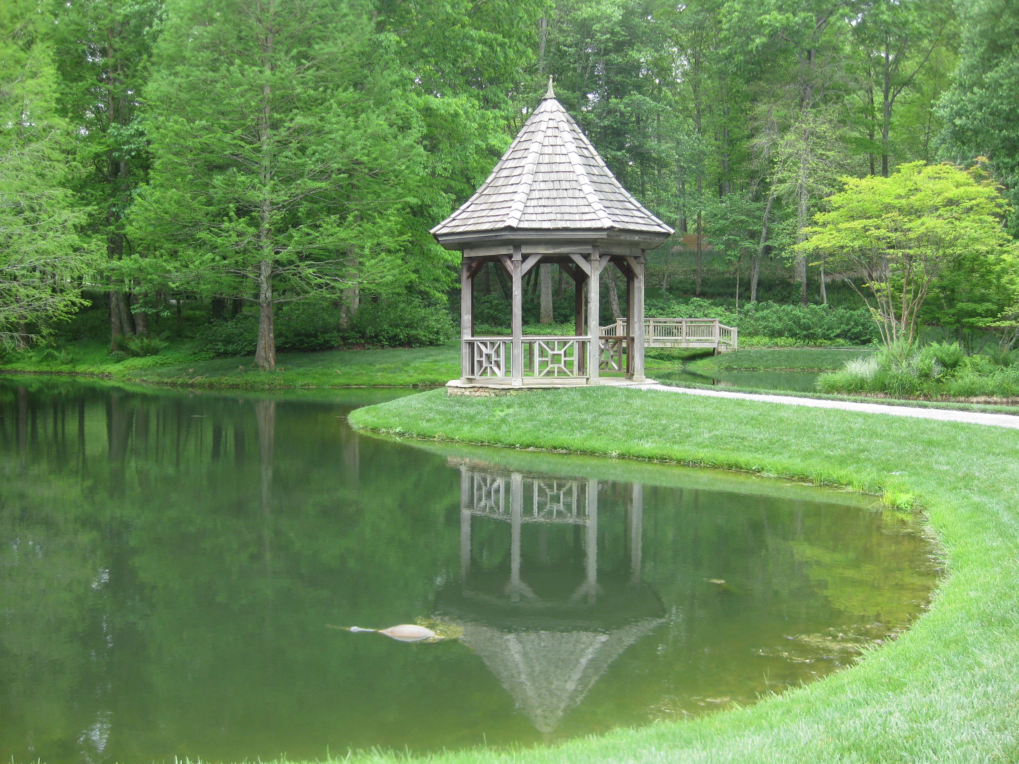 Garden Pond Design