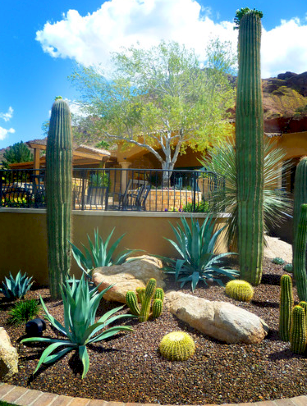 Arizona Backyard Landscaping Ideas Mystical Designs And Tags