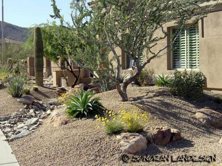 Diy Arizona Backyard Landscaping Design
