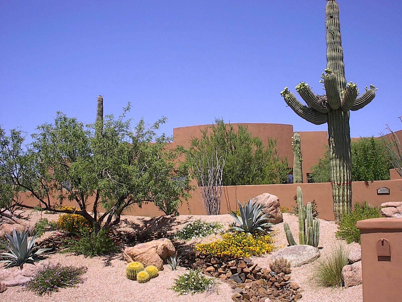 Awsome Backyard Desert Lanscaping Ideas Backyard