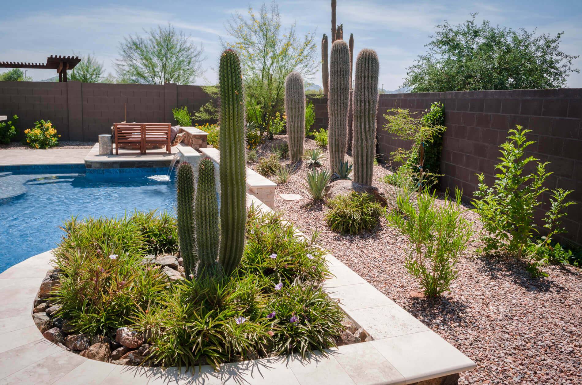 Vaquero Landscape Inspiration Arizona Backyard