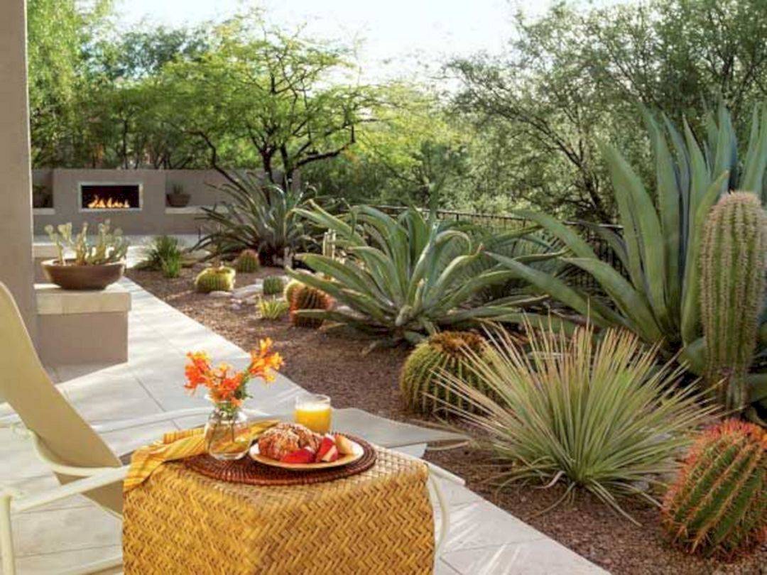 Stunning Desert Garden Ideas