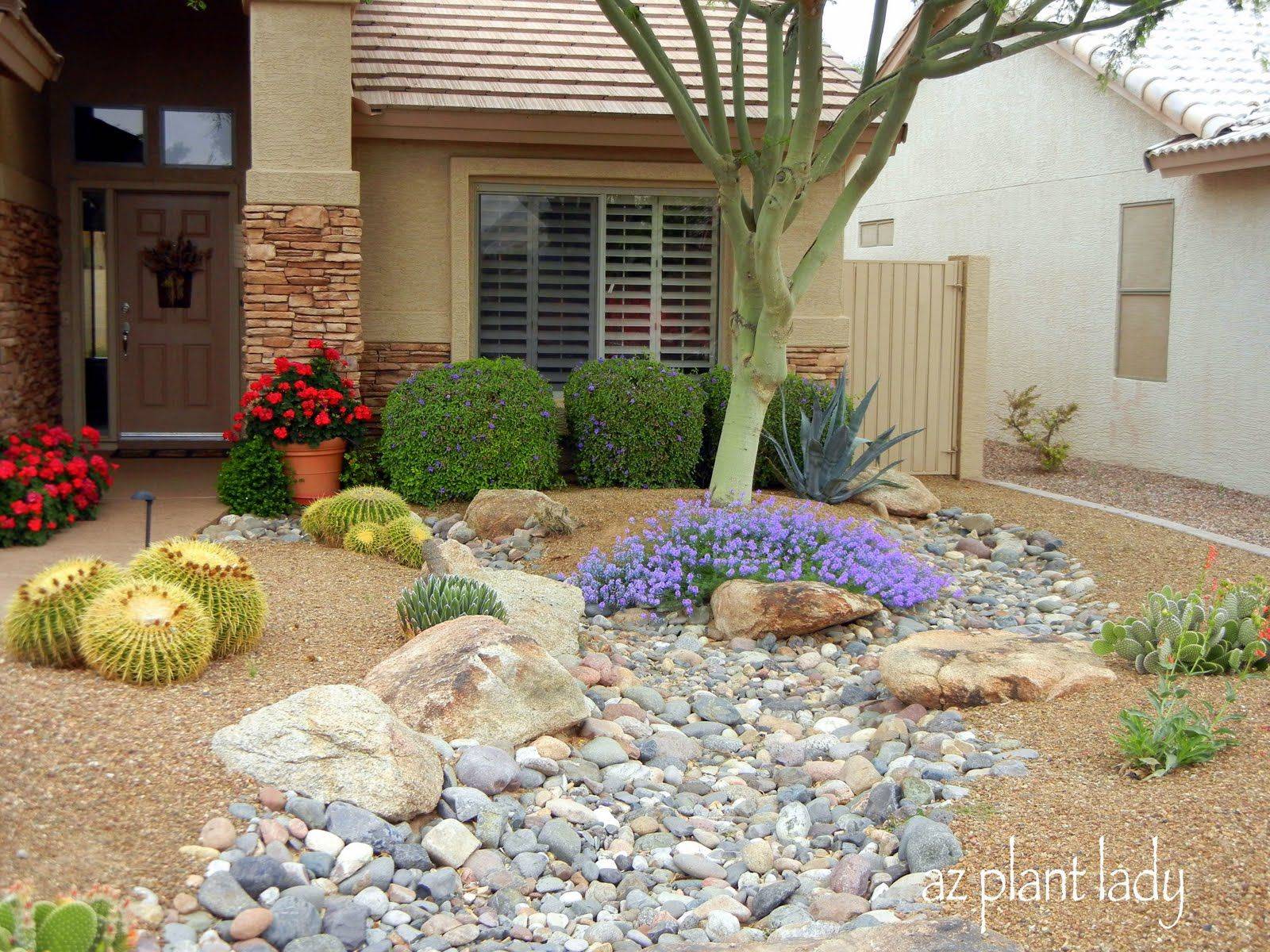 Most Popular Desert Landscaping Ideas