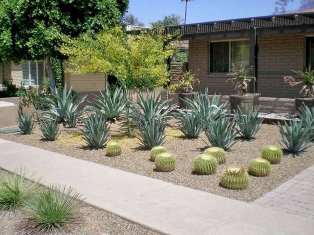 Arizona Front Yard Landscape Ideas