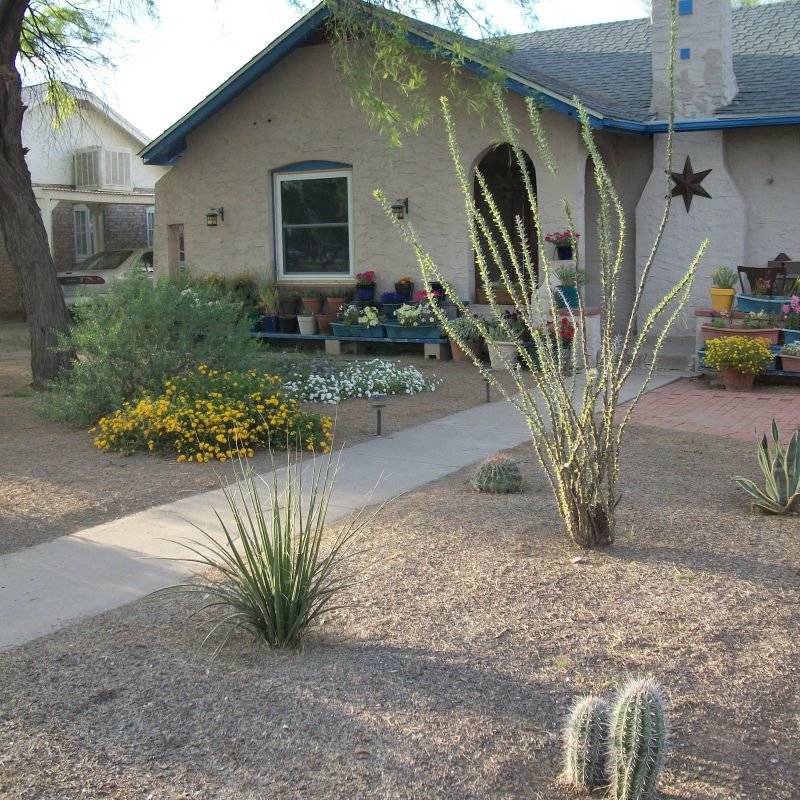 Astounding Beautiful Desert Garden Design Ideas