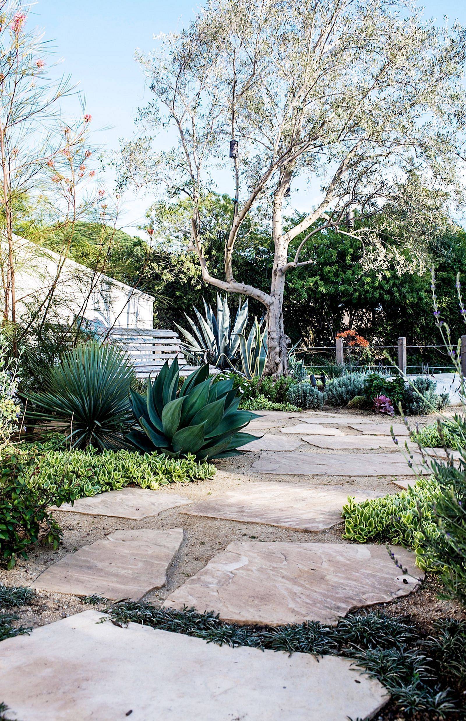 Garden Front Yard Landscaping