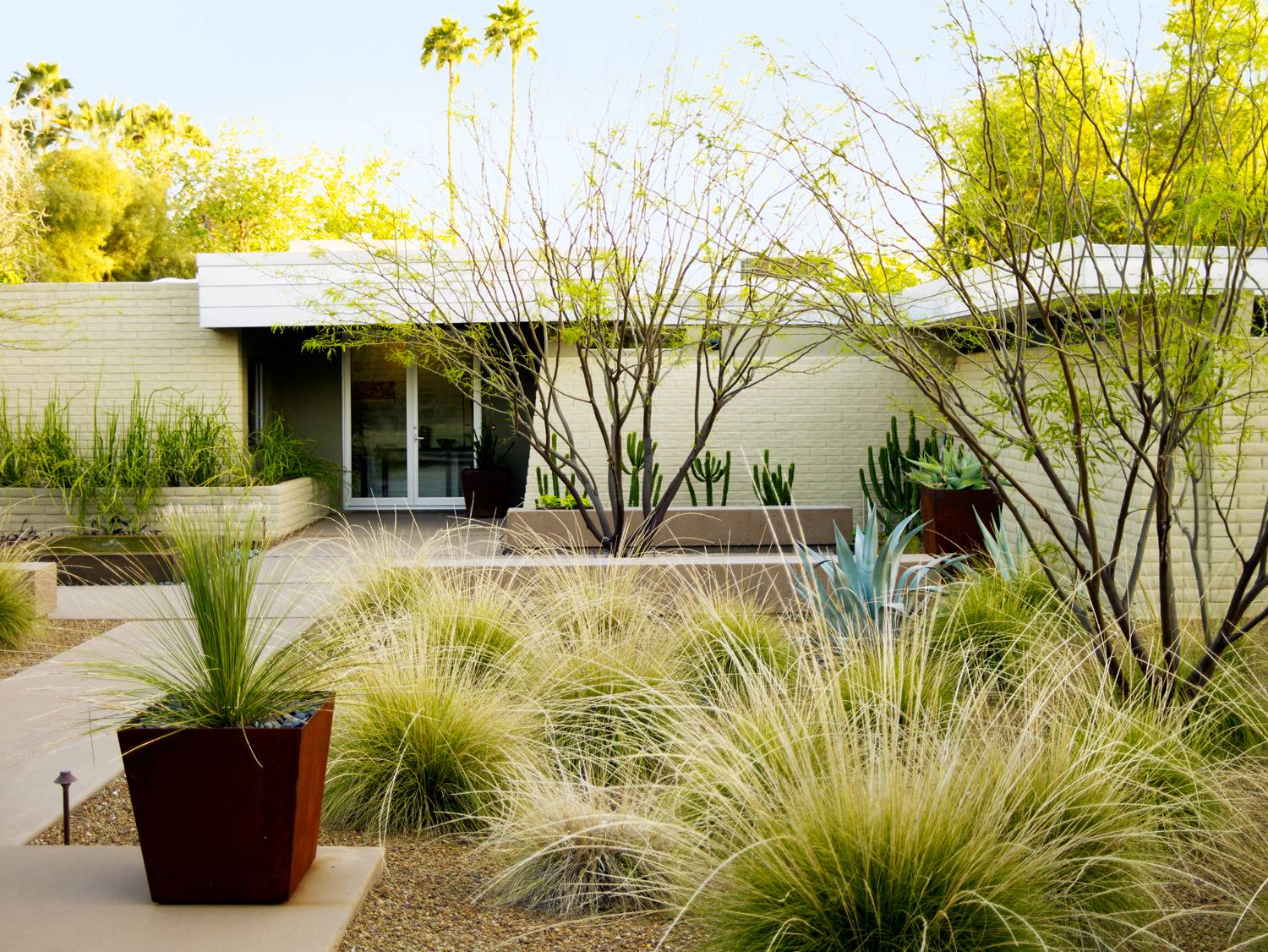 Stunning Desert Garden Landscaping Ideas