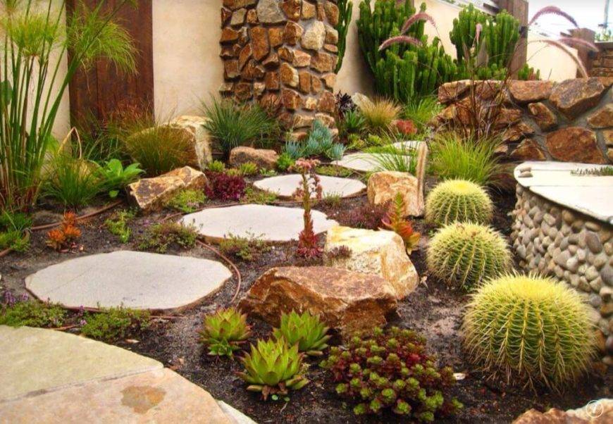 Beautiful Cactus Garden Ideas