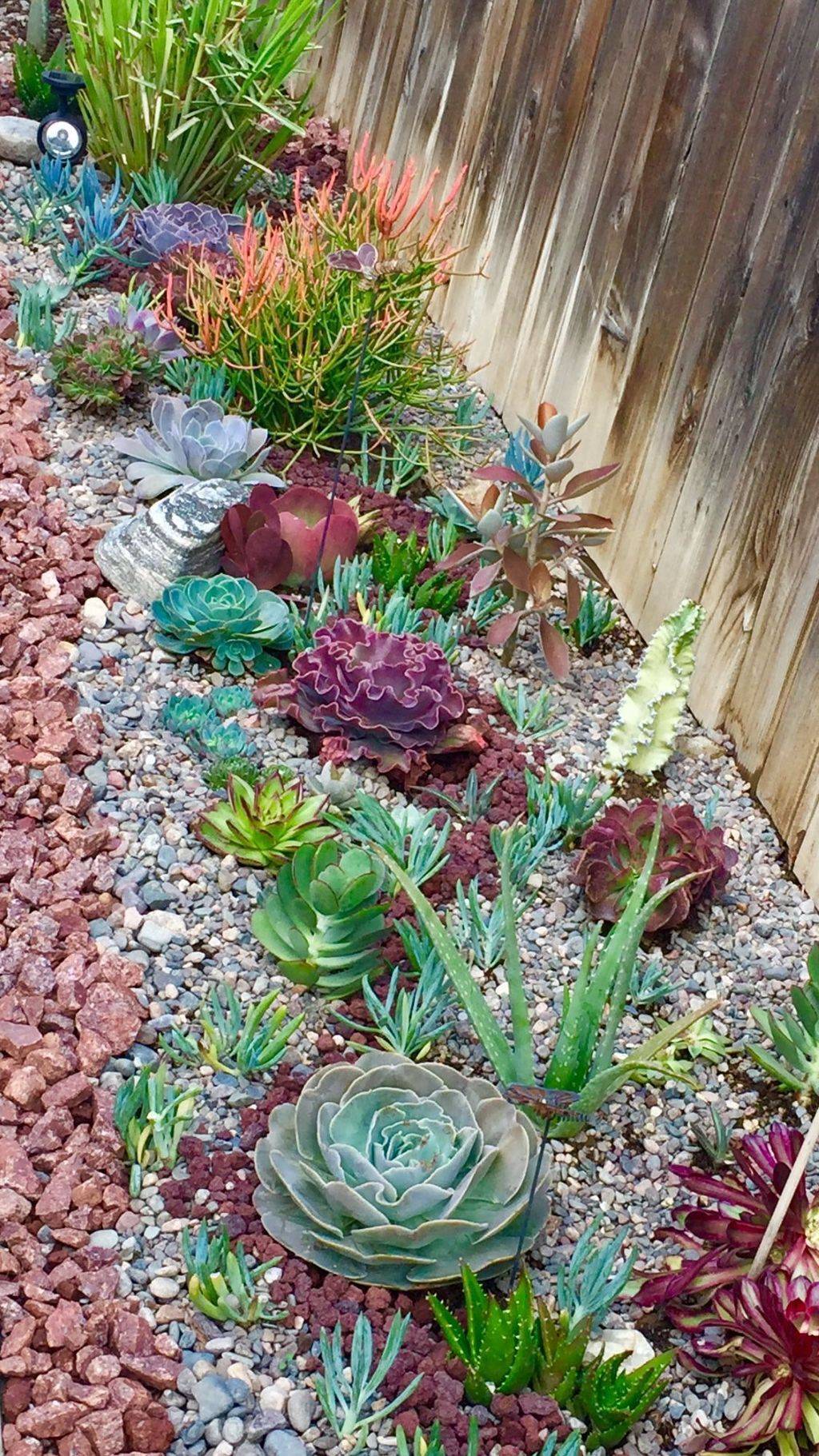 Incredible Cactus Garden Landscaping Ideas Best