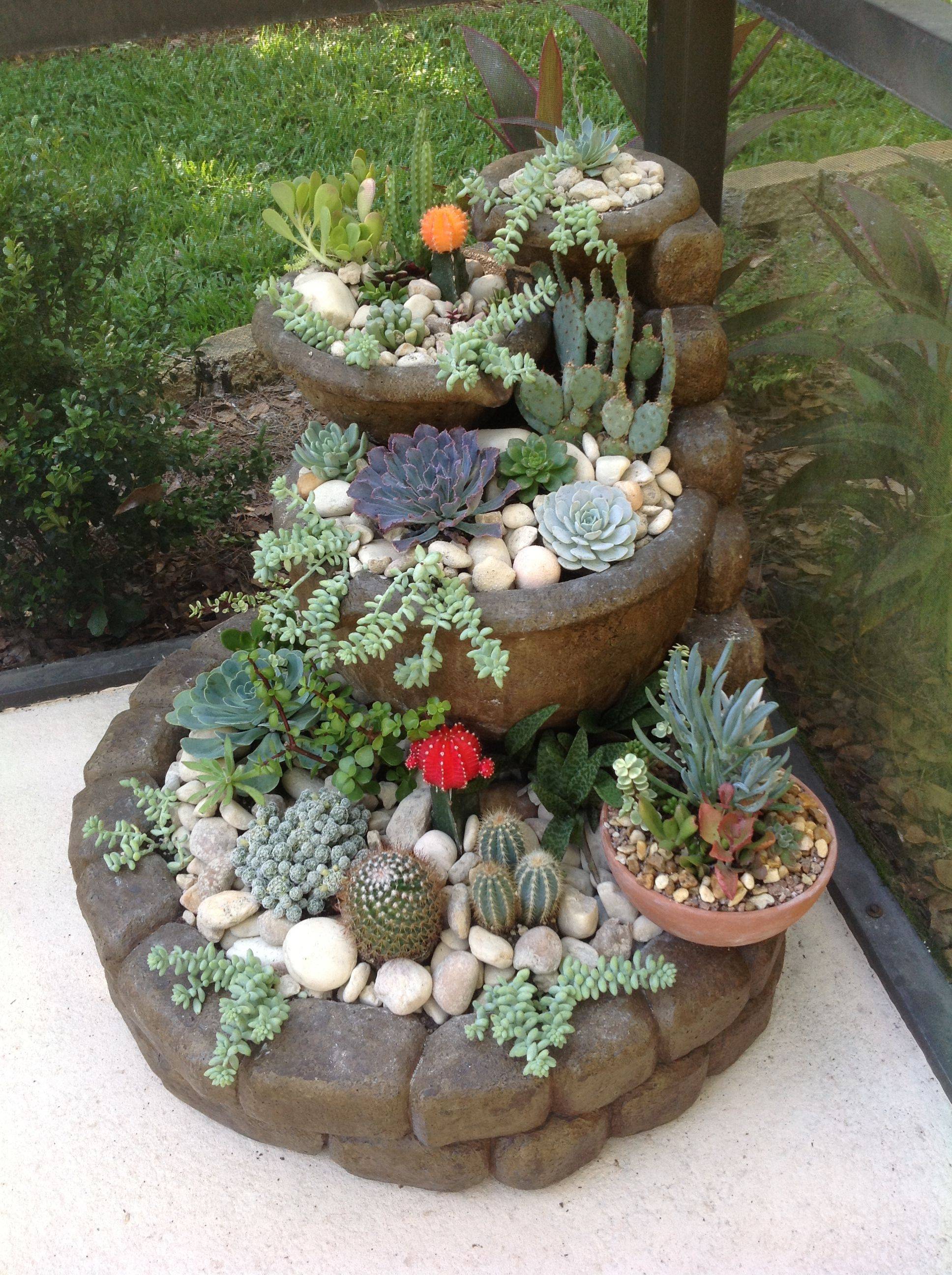 Incredible Cactus Garden Landscaping Ideas Best