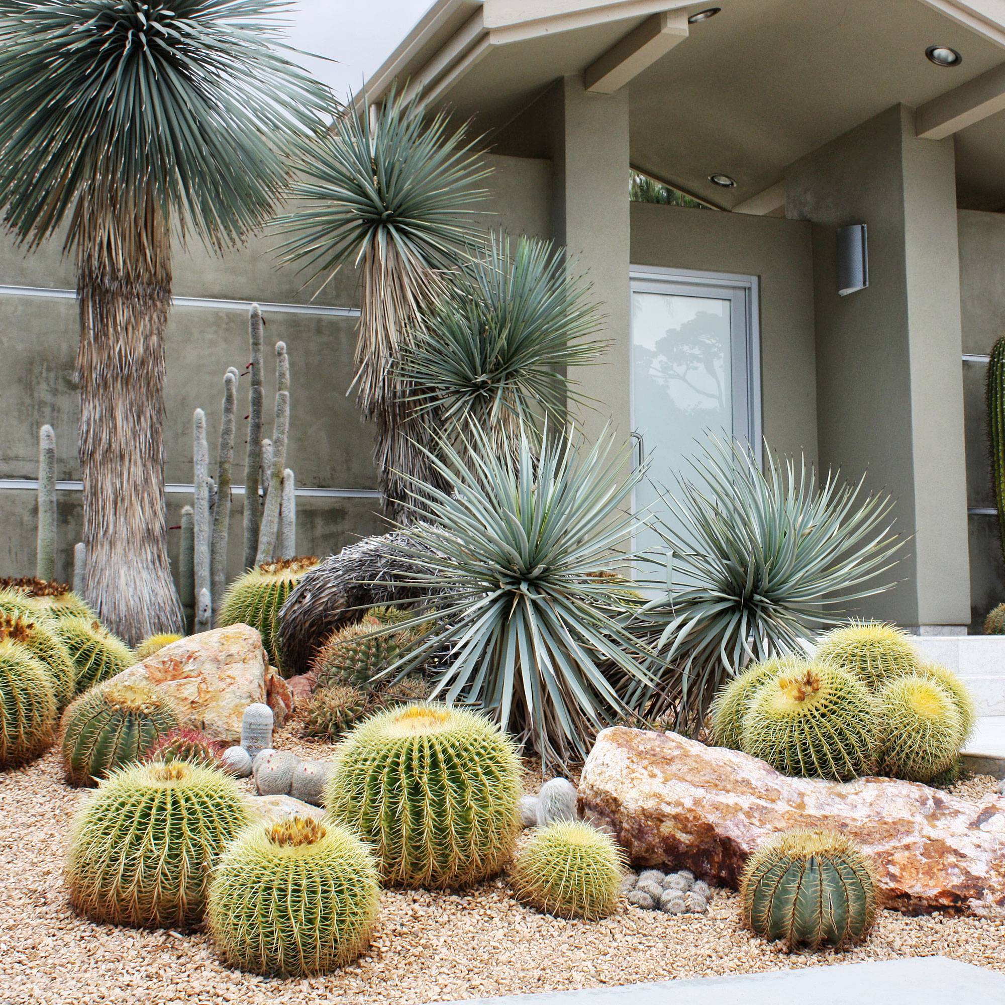 Incredible Cactus Garden Landscaping Ideas Best