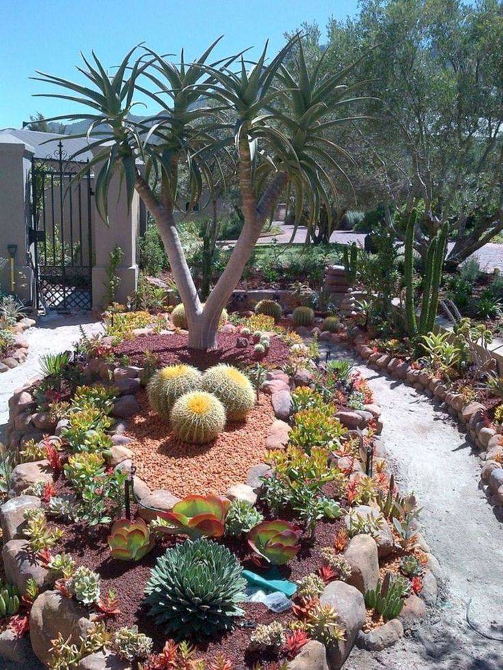 Outdoor Cactus Garden Ideas