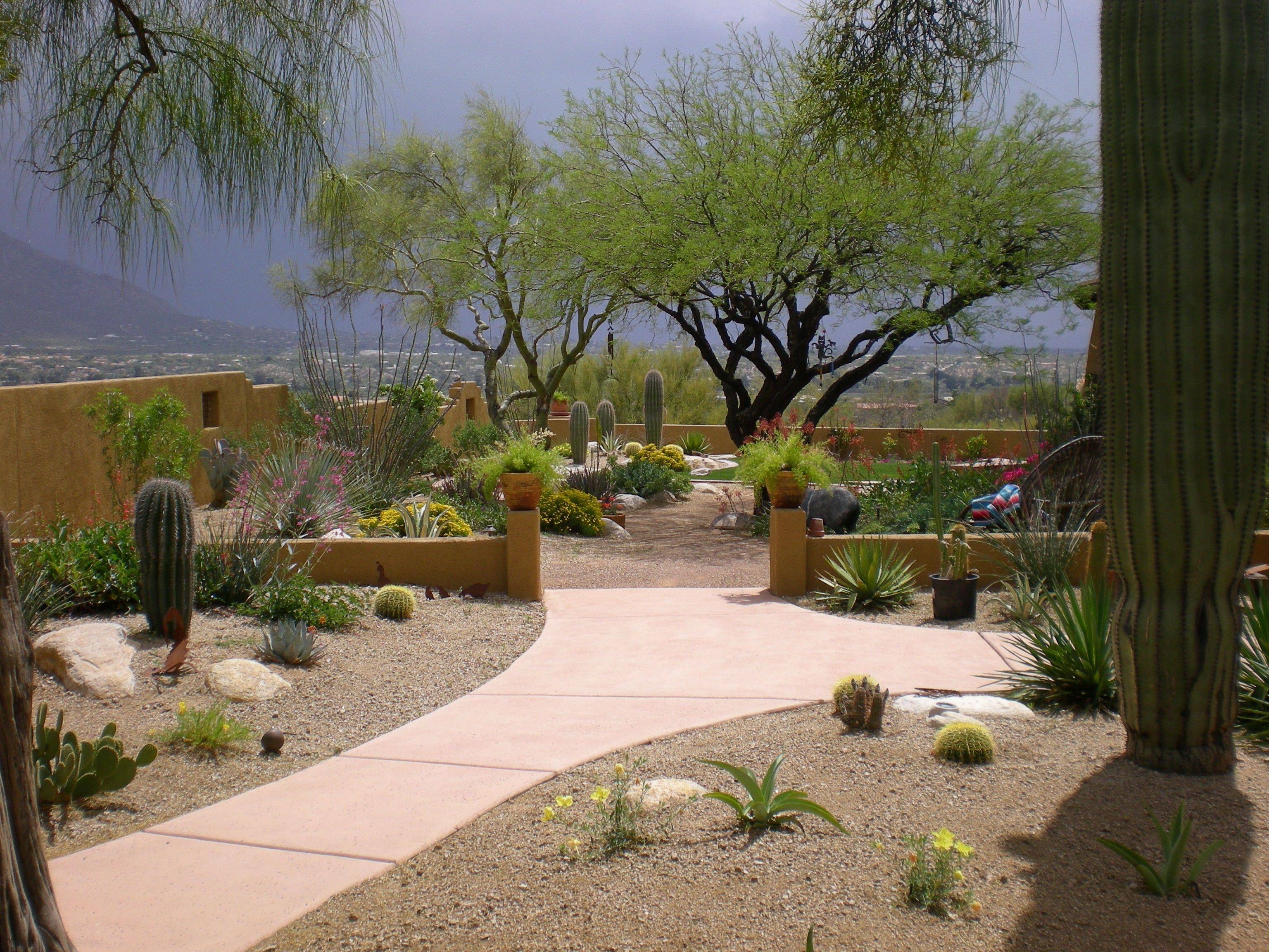 Arizona Backyard Ideas