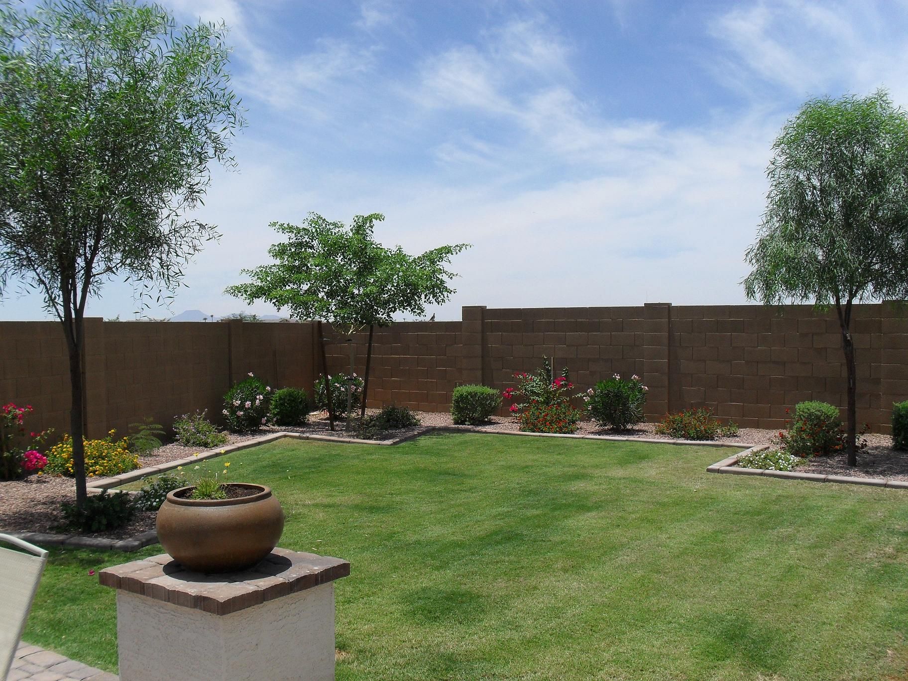 Diy Arizona Backyard Landscaping Design