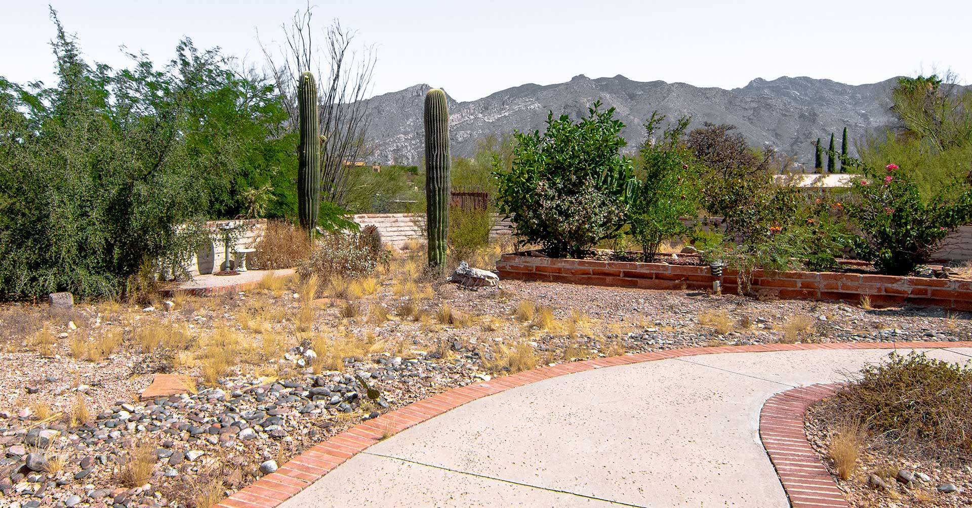 20 Tucson Garden Ideas Worth a Look SharonSable