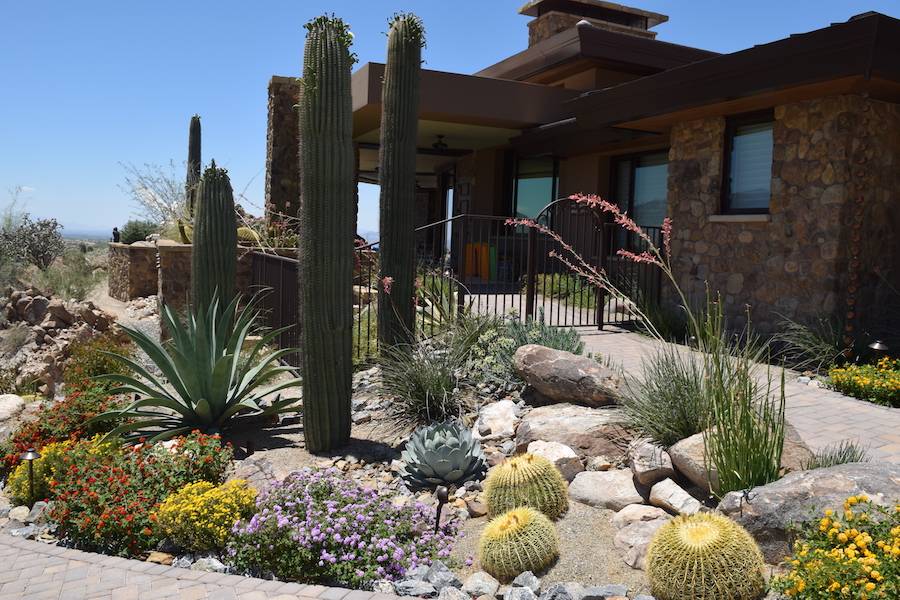 Unique Lovely Landscaping Ideas Tucson Cnas Httpscanadagoosesvip