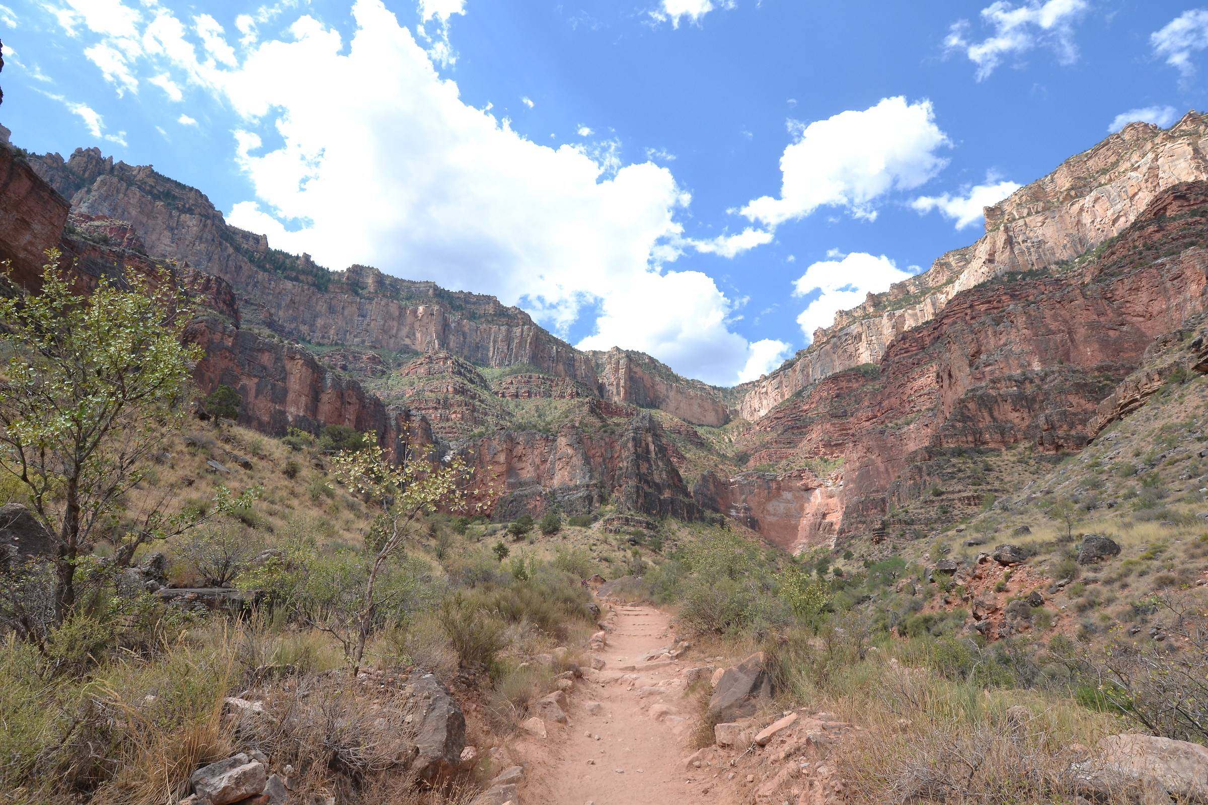 Indian Garden Grand Canyon National Park Az Photograph