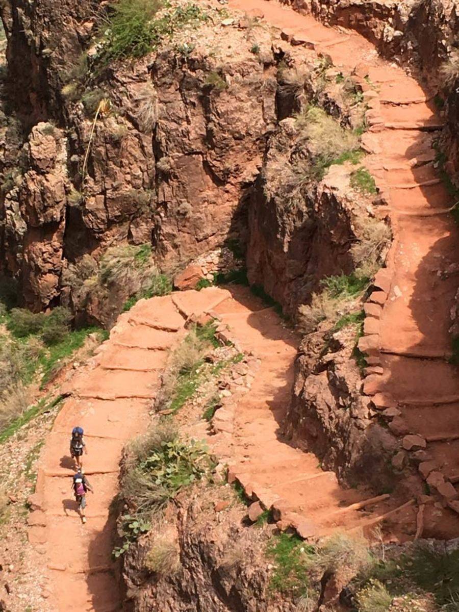 Postcard Gardens Grand Canyon Arizona Grand Canyon Arizona Grand