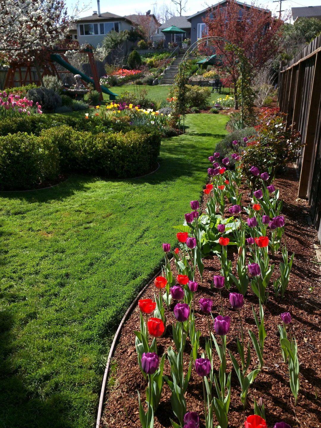 Flagstone Seawall Google Search Lake Landscaping