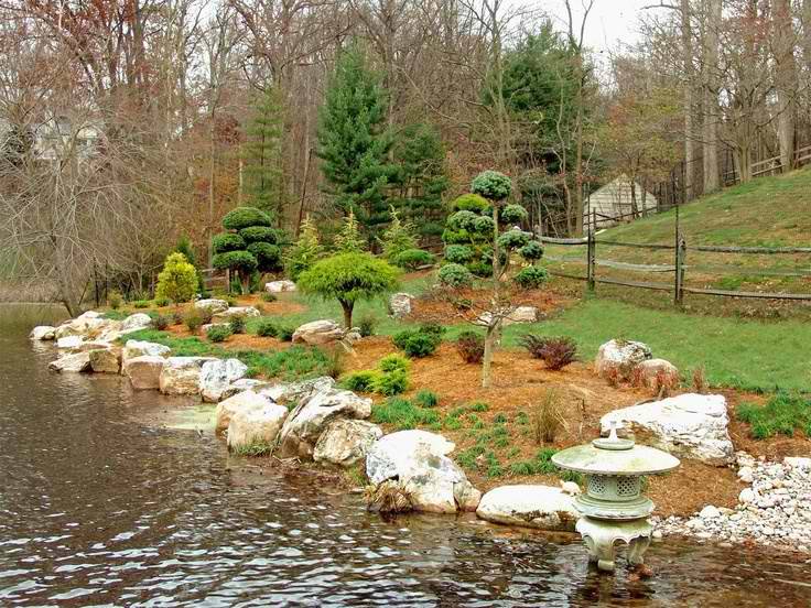 Salt Lake City Ponds Ideas