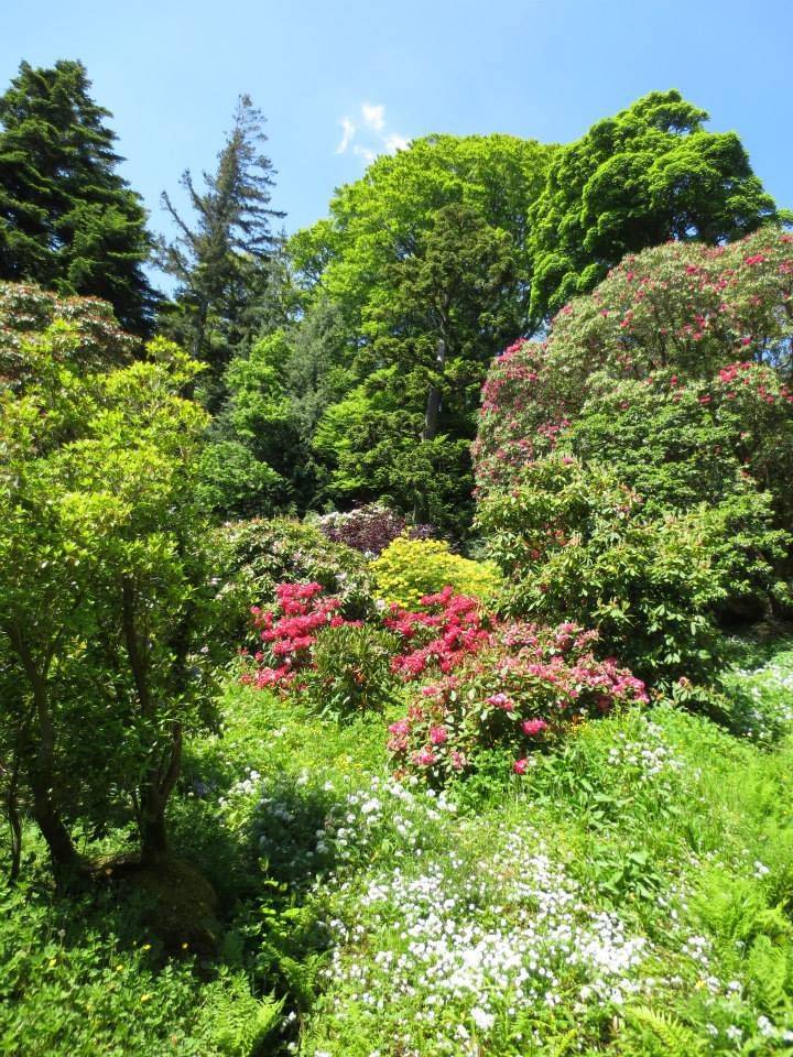 Hillside Gardens