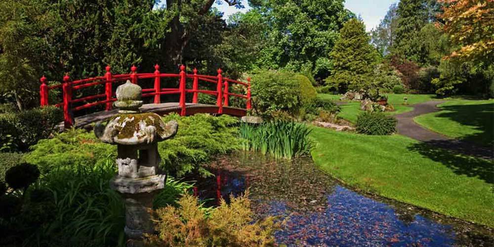 A Japanese Garden