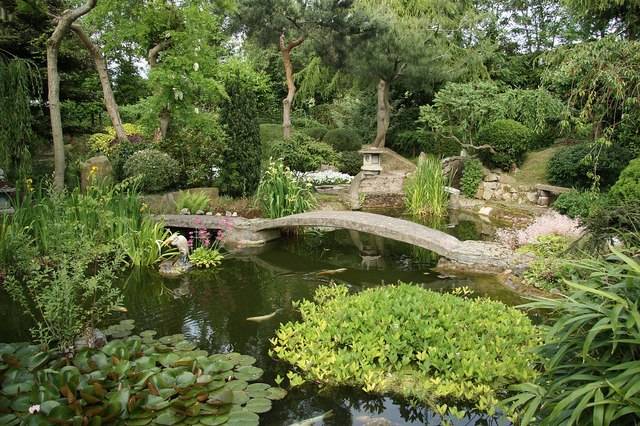 Japanese Gardens Sightseeing Dublin