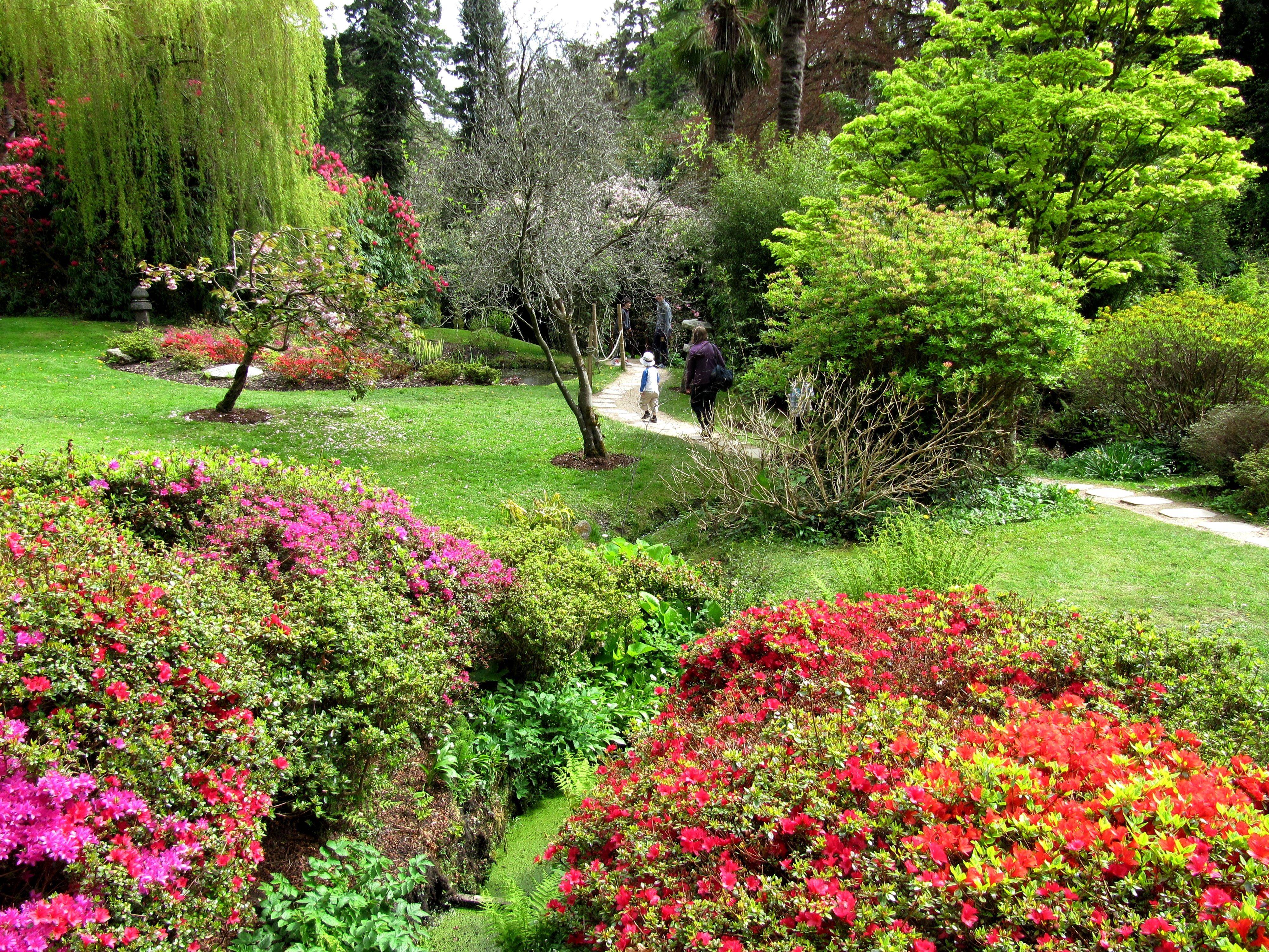 Powerscourt Japanese Garden