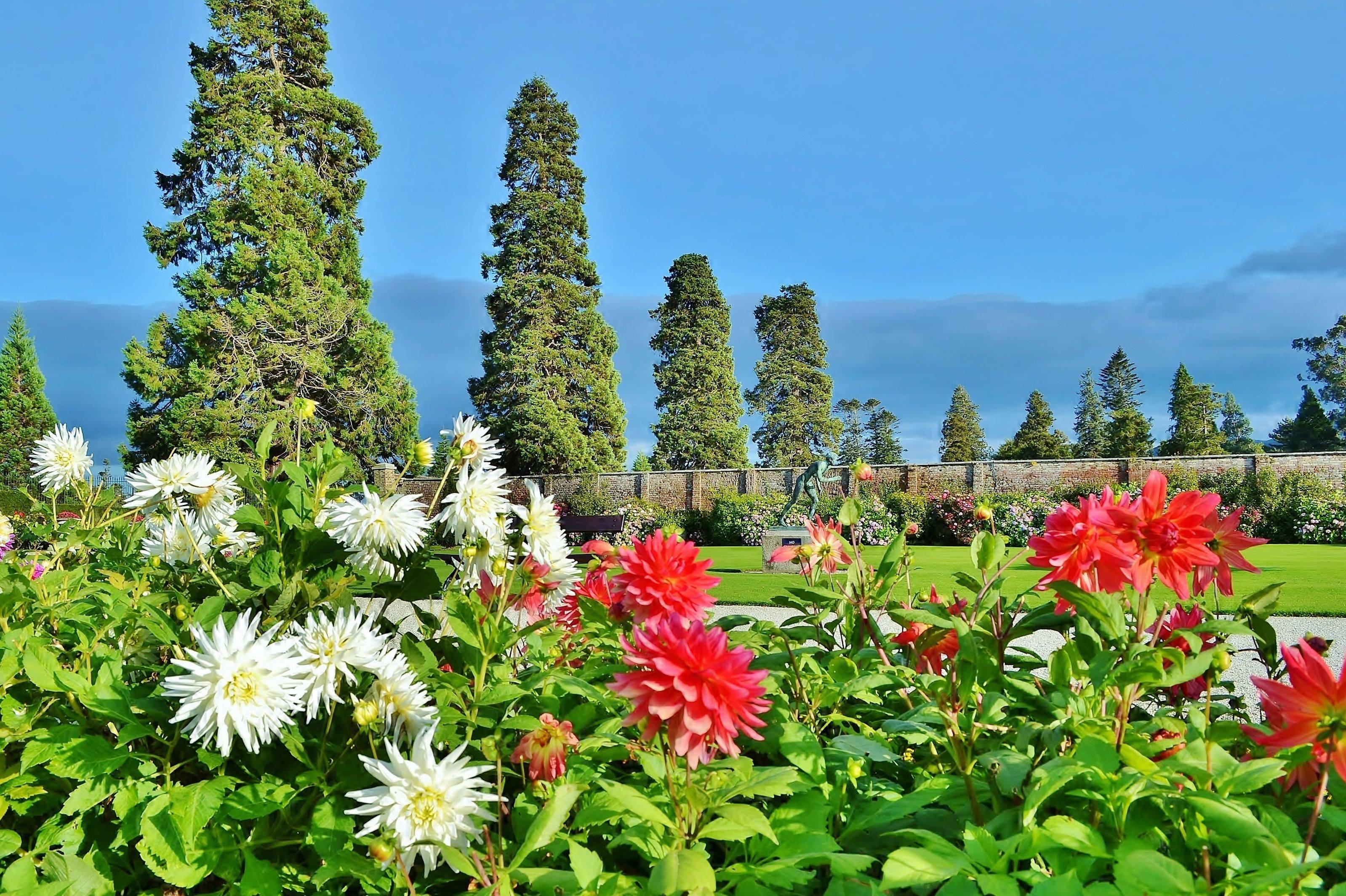 The Herbaceous Border