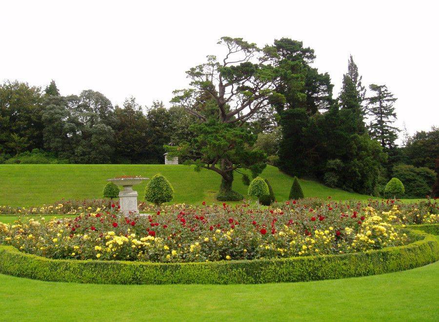 The Herbaceous Border