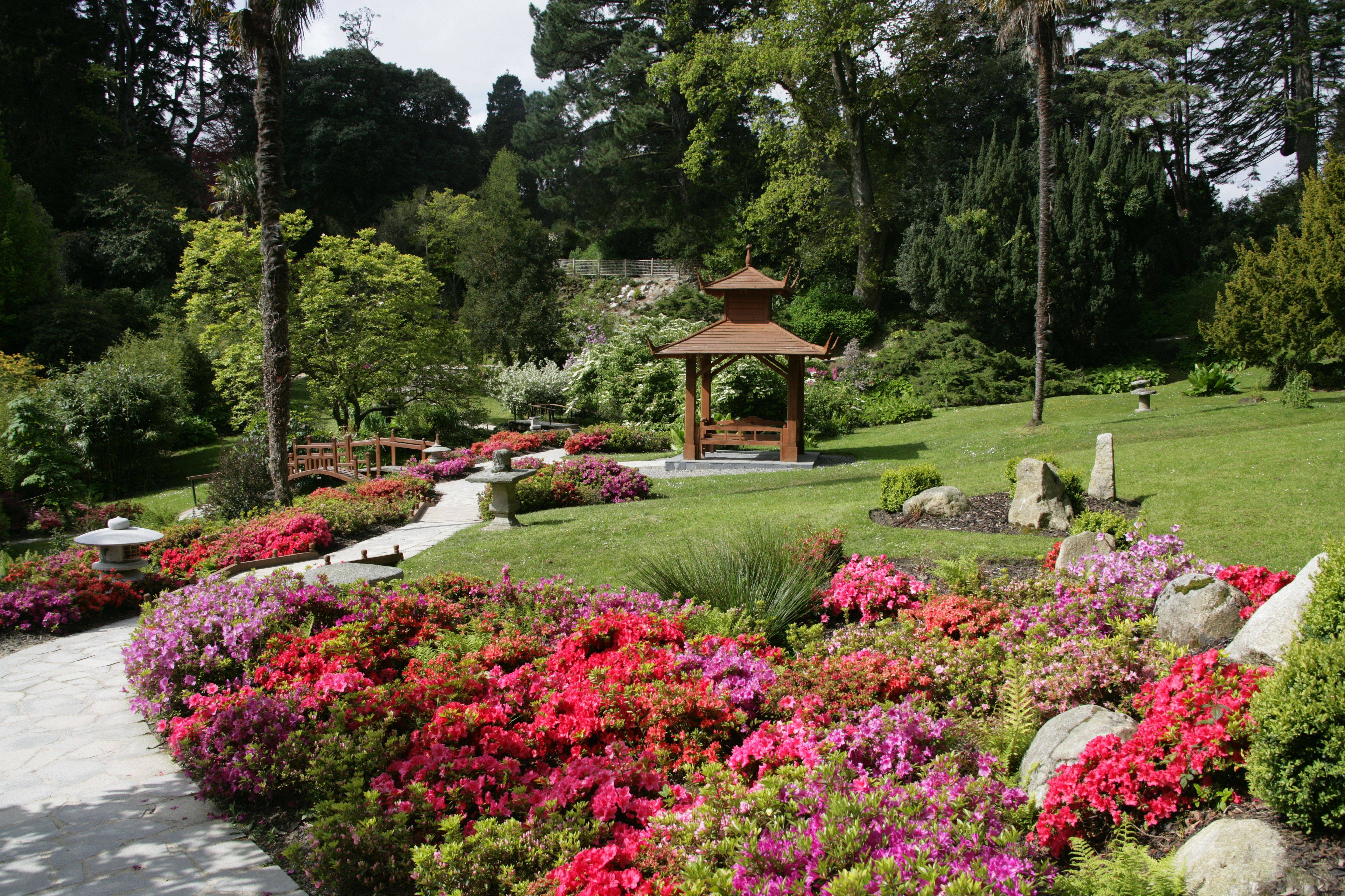 Ireland Flower Beds