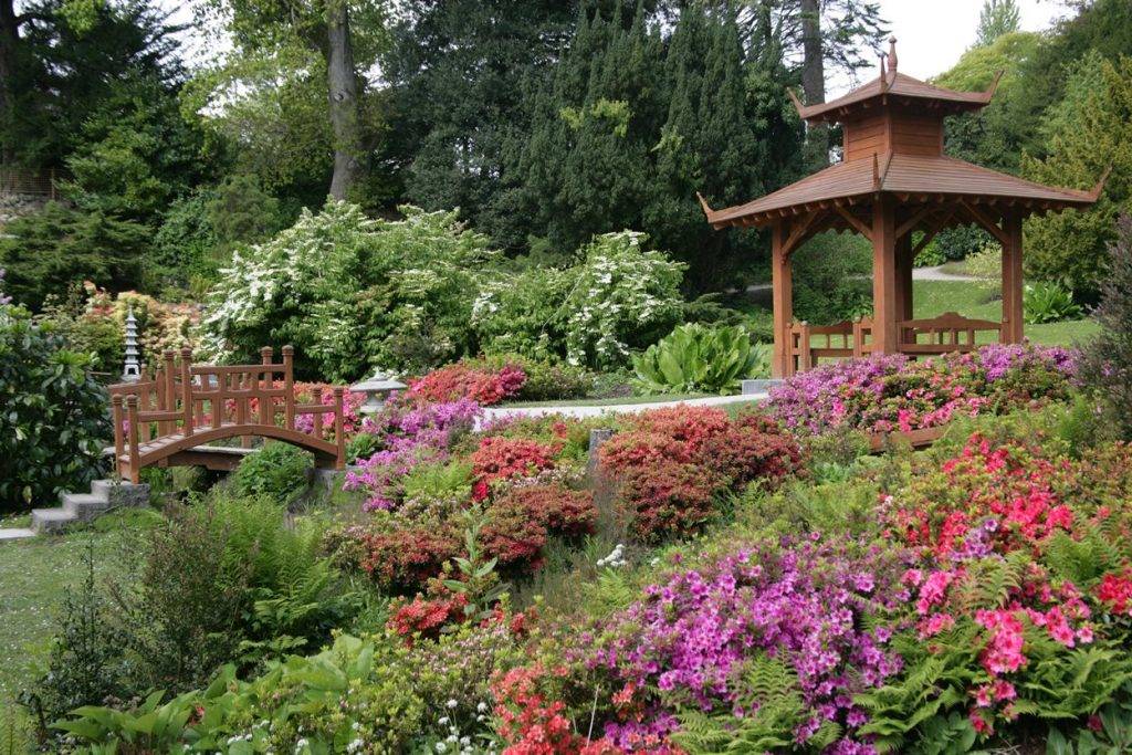 Japanese Garden