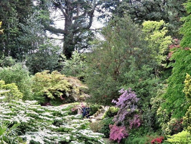 The Gardens