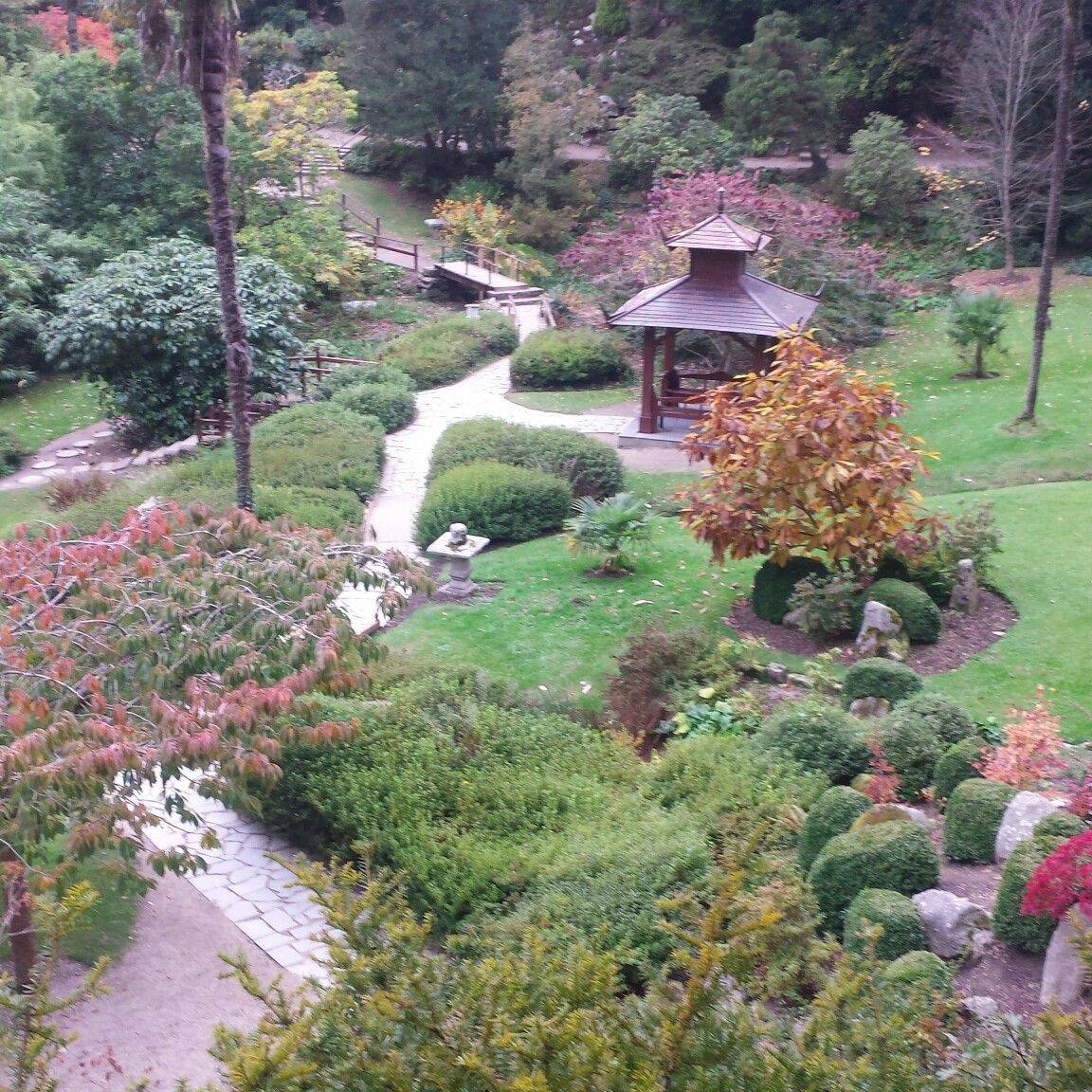 The Stunningly Beautiful Japanese Garden
