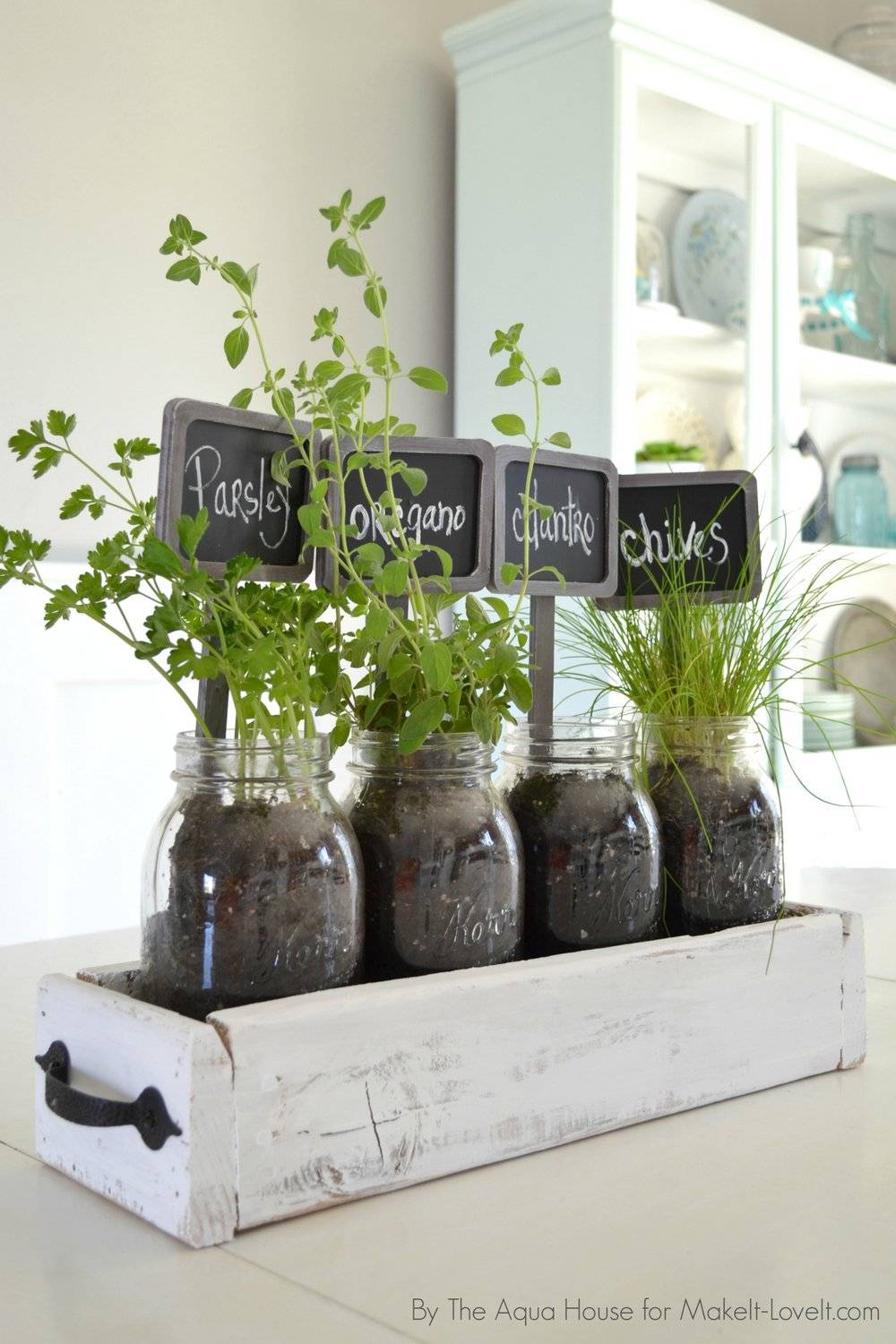 Indoor Herb Garden