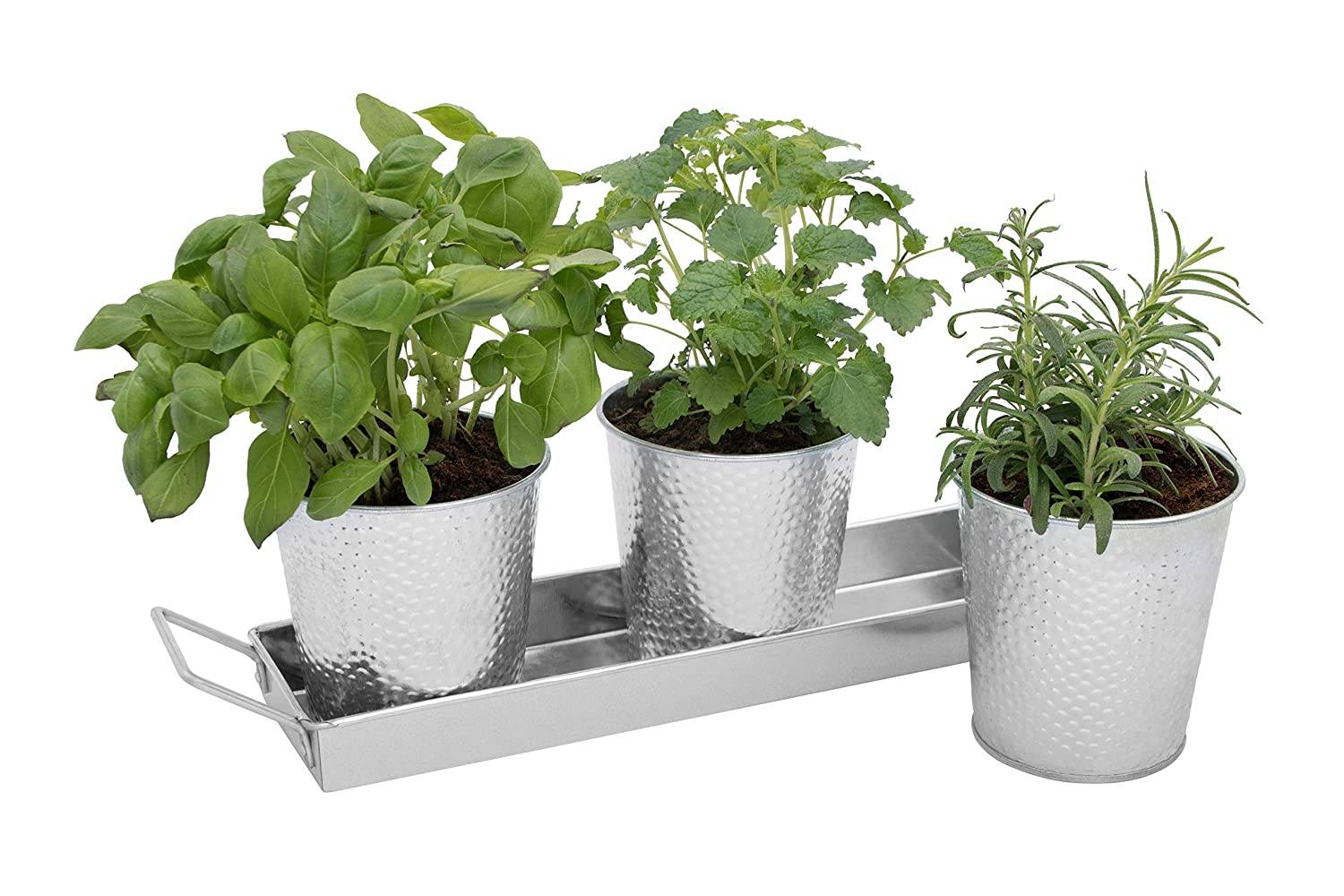 Creative Table Top Garden Ideas